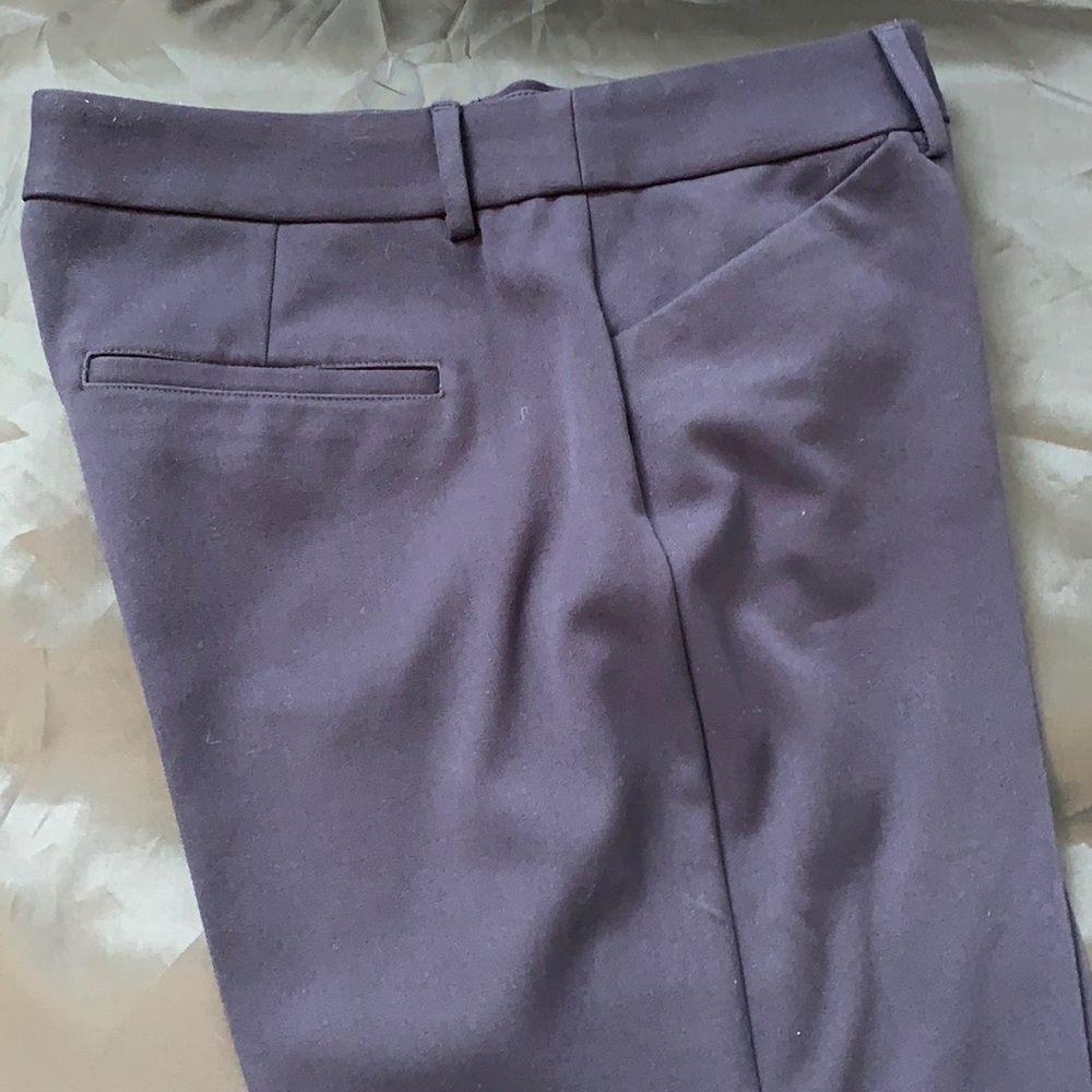 Express Editor Barely Boot Pants